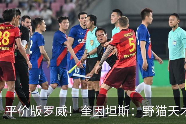 平价版罗威！奎因坦斯：野猫天才内线 存伤病隐患 罚球致敬米切罗